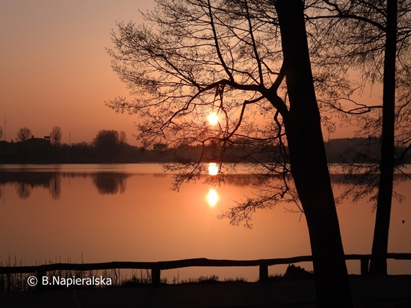 Miedzychód